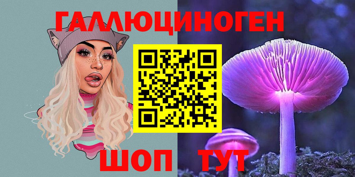 Слободской  Галлюциногенные грибы Psilocybe  где можно купить   Вход с VPN 