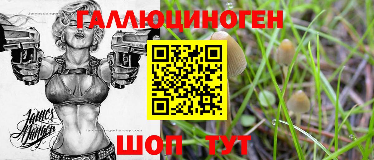 Галлюциногенные грибы мицелий Слободской